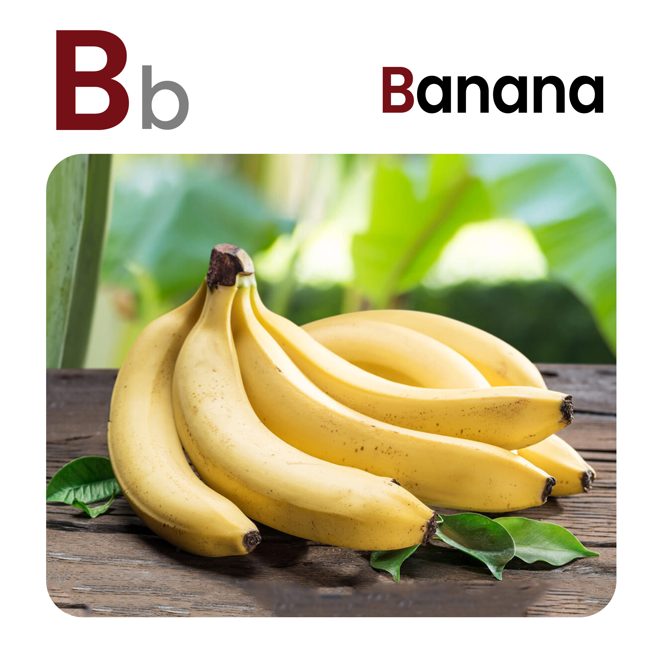 Fruit Kingdom 3